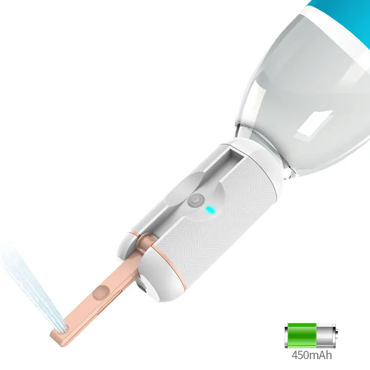 portable bidet sprayer main